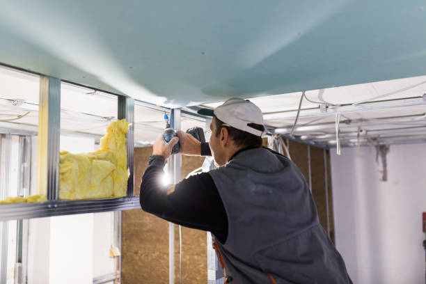 Best Insulation Maintenance and Repair in Portland, TX